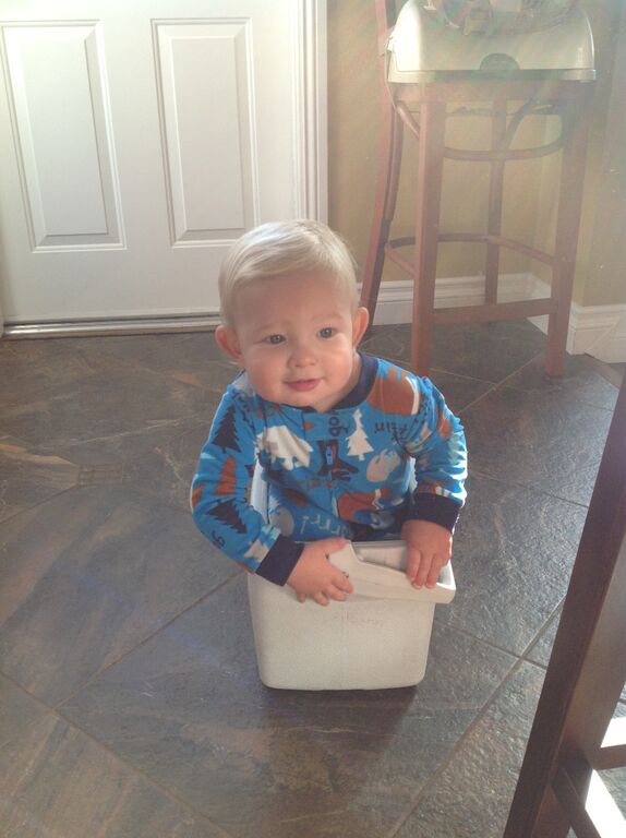 jasper playing with a plastic tub